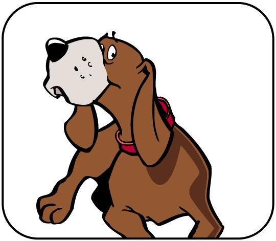 HUND DER
